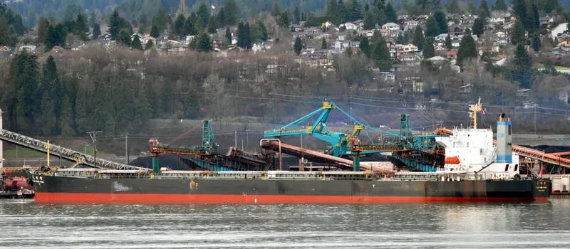 TIAN SONG FENG Bulk Carrier IMO 9214070 photo 2