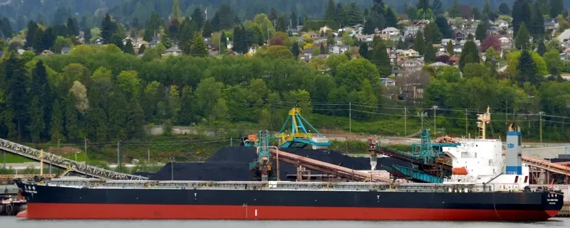 TIAN SONG FENG Bulk Carrier IMO 9214070 photo 5