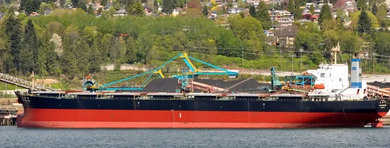 TIAN SONG FENG Bulk Carrier IMO 9214070 photo 10