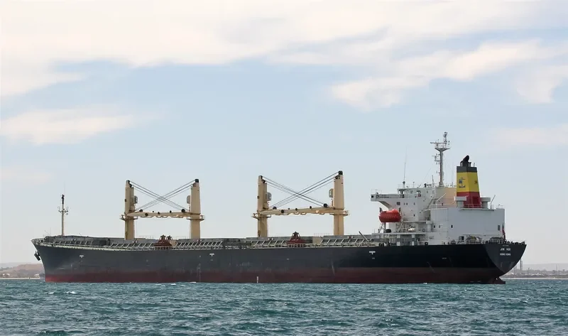 DRY TRANSPORT Bulk Carrier IMO 9214082 photo 2