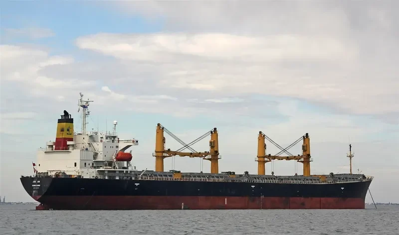 RAK ANA Bulk Carrier IMO 9214094 photo 2