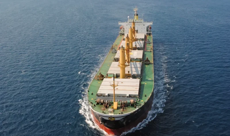 RAK ANA Bulk Carrier IMO 9214094 photo 3