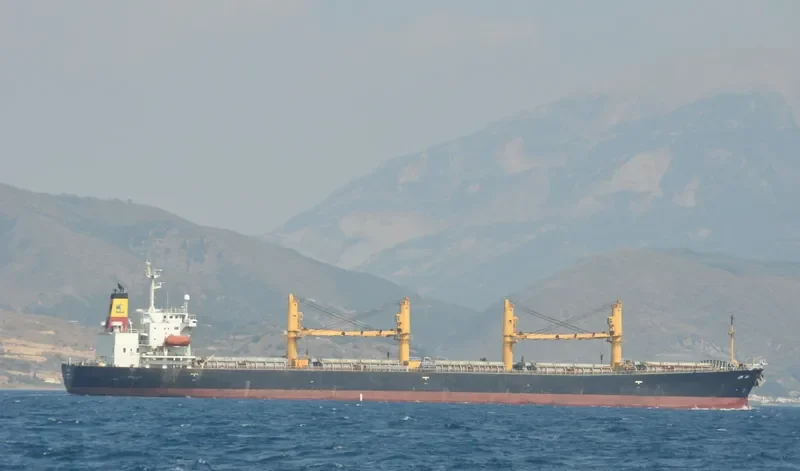 RAK ANA Bulk Carrier IMO 9214094 photo 5