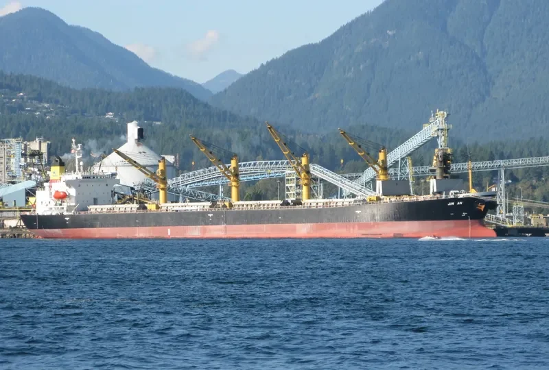 RAK ANA Bulk Carrier IMO 9214094 photo 7