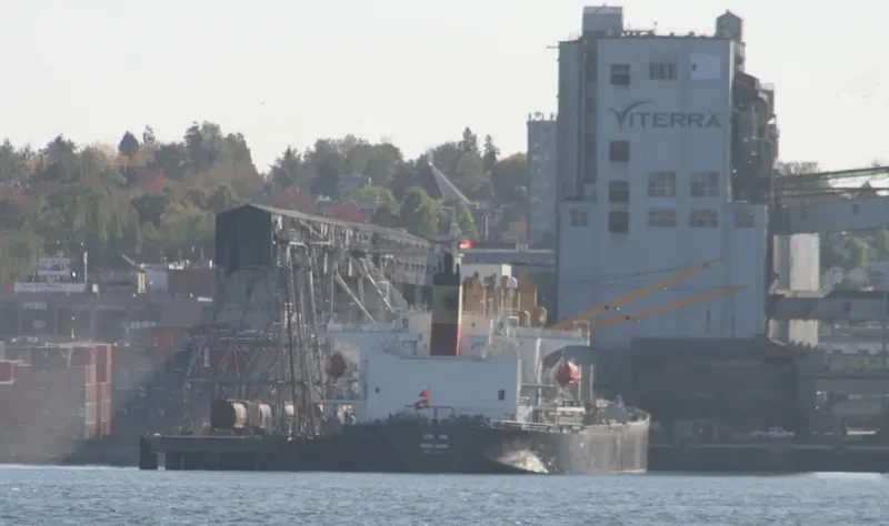RAK ANA Bulk Carrier IMO 9214094 photo 8