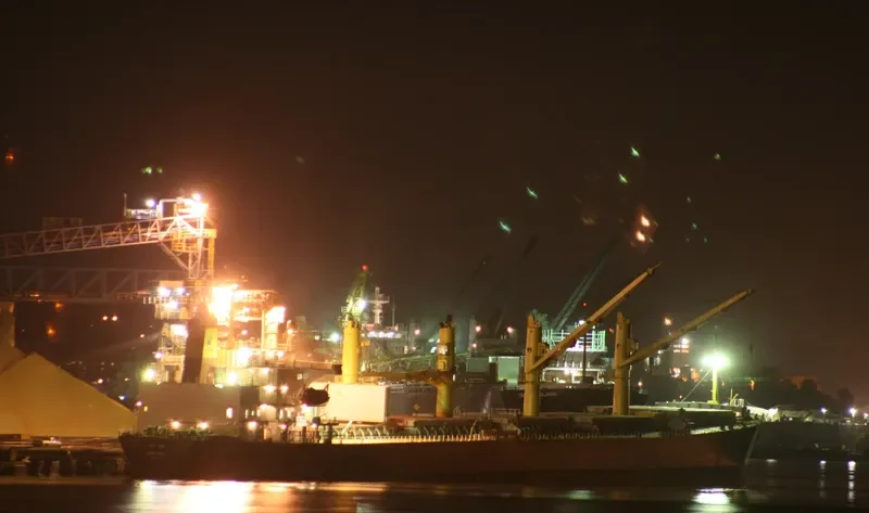 RAK ANA Bulk Carrier IMO 9214094 photo 9