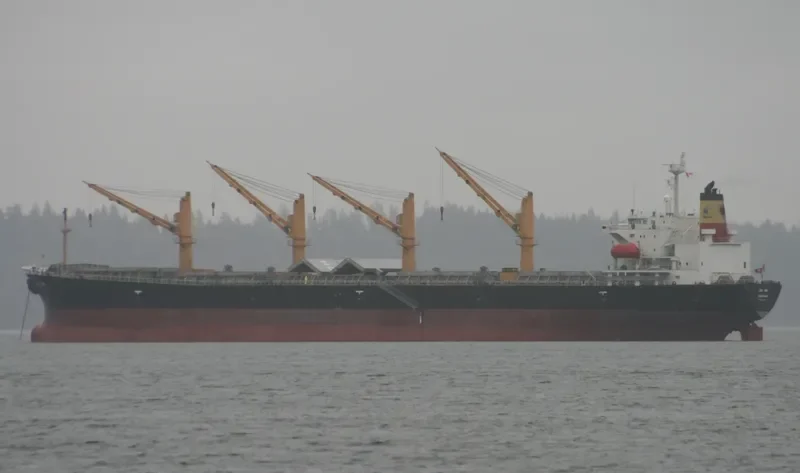 RAK ANA Bulk Carrier IMO 9214094 photo 10