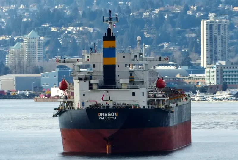 MARIA NASHWAH Bulk Carrier IMO 9214123 photo 2