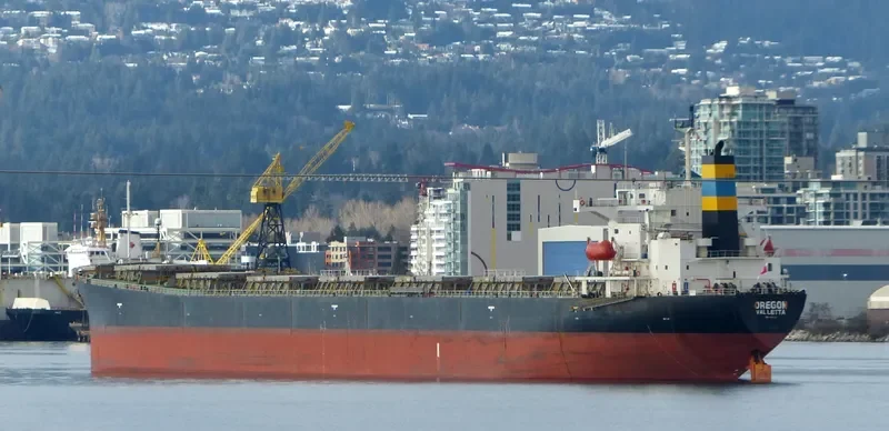 MARIA NASHWAH Bulk Carrier IMO 9214123 photo 3