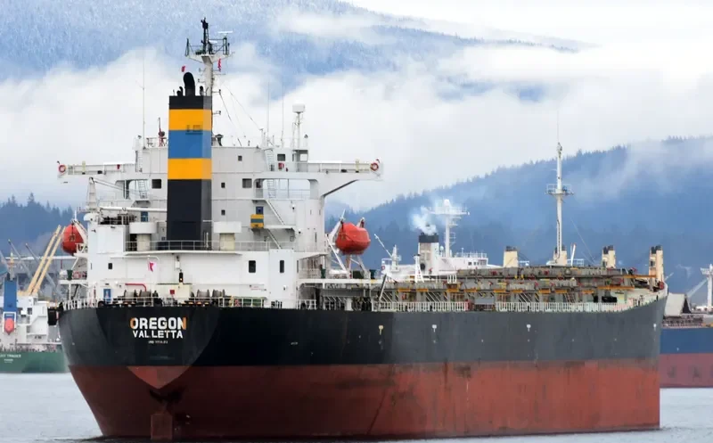 MARIA NASHWAH Bulk Carrier IMO 9214123 photo 4