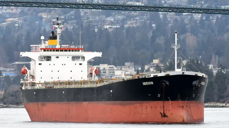 MARIA NASHWAH Bulk Carrier IMO 9214123 photo 5