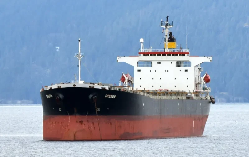 MARIA NASHWAH Bulk Carrier IMO 9214123 photo 6