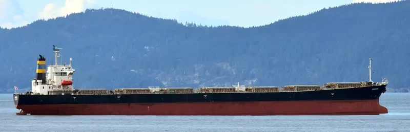 MARIA NASHWAH Bulk Carrier IMO 9214123 photo 7