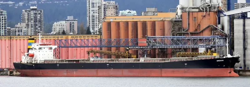 MARIA NASHWAH Bulk Carrier IMO 9214123 photo 8