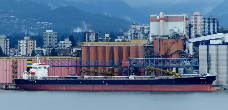 MARIA NASHWAH Bulk Carrier IMO 9214123 photo 9