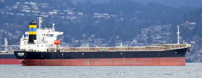 MARIA NASHWAH Bulk Carrier IMO 9214123 photo 10