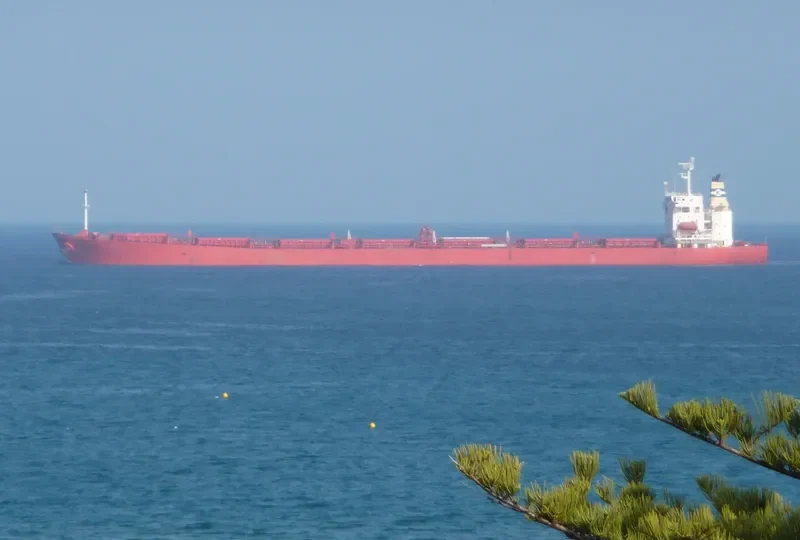 BANASOL Bulk Carrier IMO 9214135 photo 9