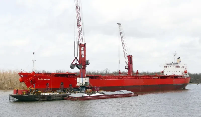 BARCARENA Bulk Carrier IMO 9214147