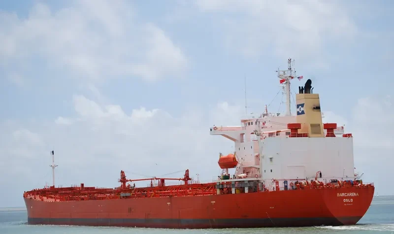 BARCARENA Bulk Carrier IMO 9214147 photo 7
