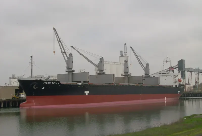 JUDY Bulk Carrier IMO 9214159 photo 8