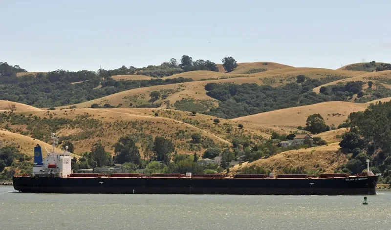 DA JIA Bulk Carrier IMO 9214161 photo 2