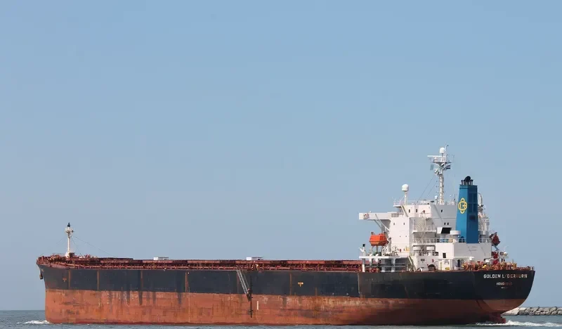 DA JIA Bulk Carrier IMO 9214161 photo 6