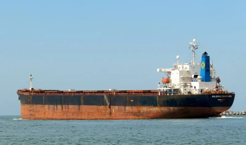 DA JIA Bulk Carrier IMO 9214161 photo 7