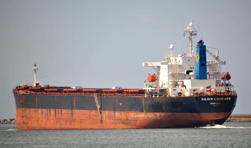 DA JIA Bulk Carrier IMO 9214161 photo 9