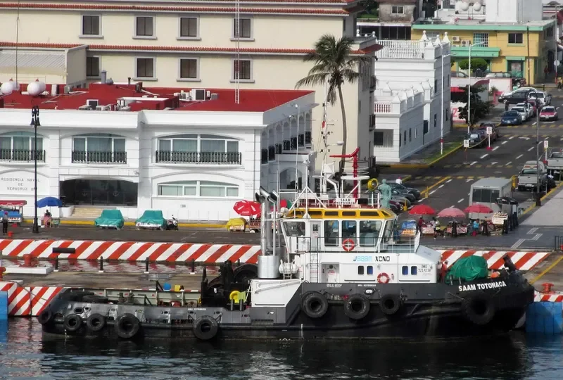 SAAM TOTONACA General Cargo IMO 9214238
