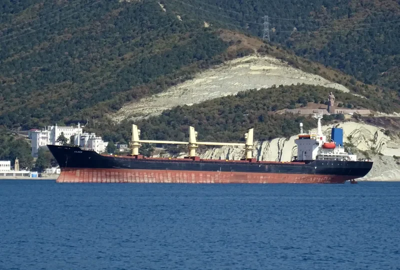 AILEEN Bulk Carrier IMO 9214252 photo 5