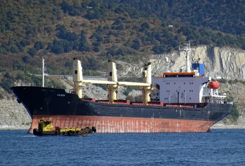 AILEEN Bulk Carrier IMO 9214252 photo 6