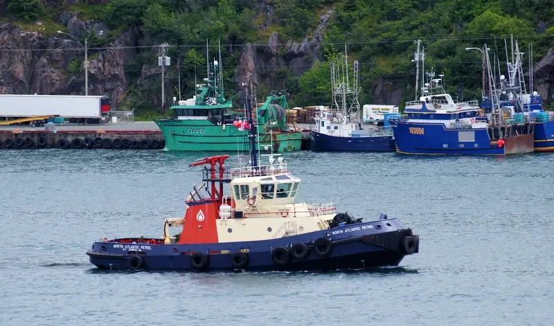 NORTH ATLANTIC PETREL General Cargo IMO 9214290 photo 2