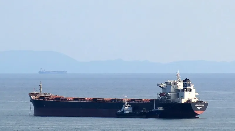 APJ MAHADEVA Bulk Carrier IMO 9214329