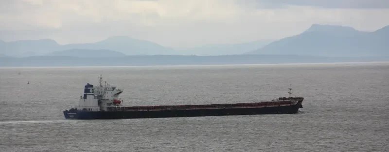 APJ MAHADEVA Bulk Carrier IMO 9214329 photo 2