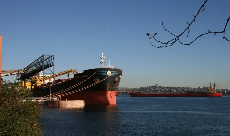 APJ MAHADEVA Bulk Carrier IMO 9214329 photo 3
