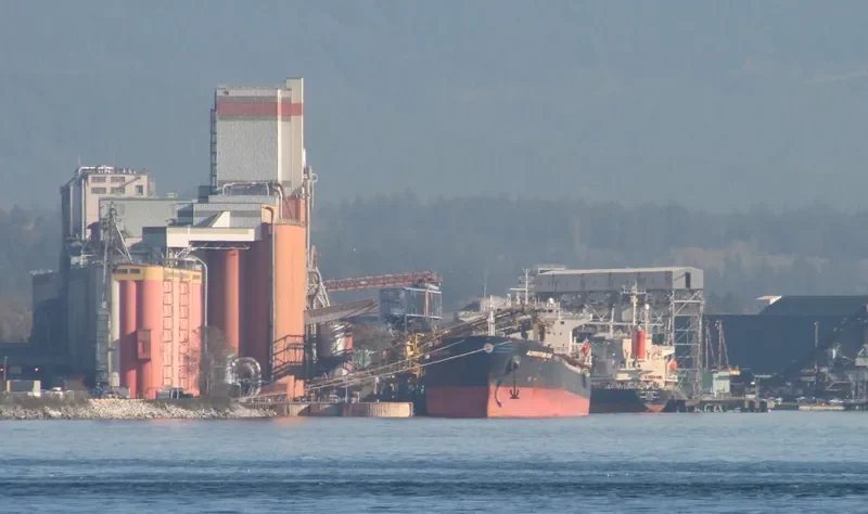 APJ MAHADEVA Bulk Carrier IMO 9214329 photo 4