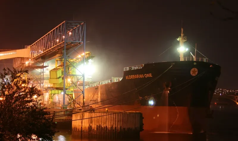 APJ MAHADEVA Bulk Carrier IMO 9214329 photo 5