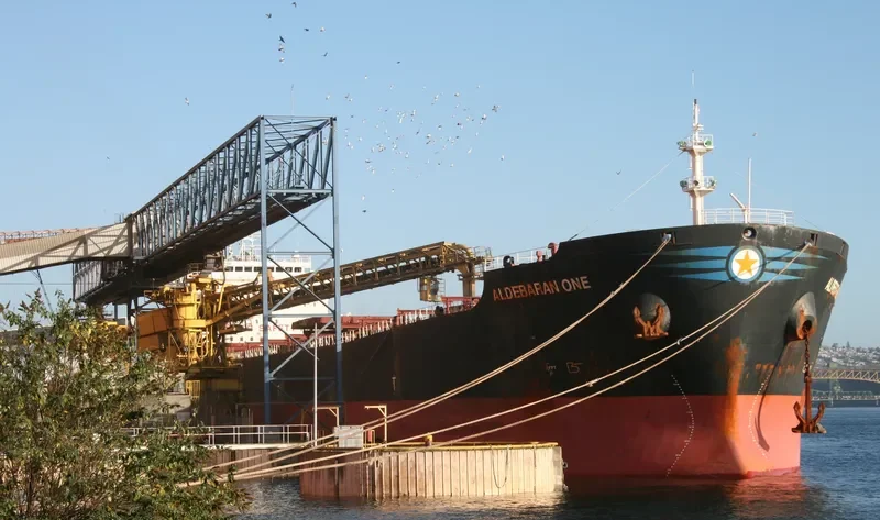 APJ MAHADEVA Bulk Carrier IMO 9214329 photo 6
