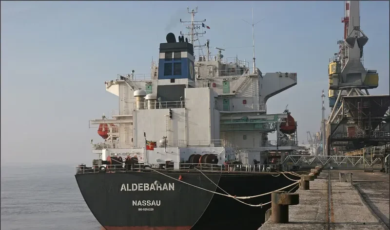 APJ MAHADEVA Bulk Carrier IMO 9214329 photo 8
