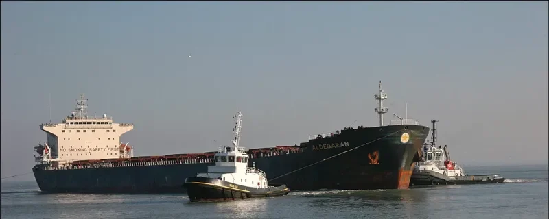 APJ MAHADEVA Bulk Carrier IMO 9214329 photo 9