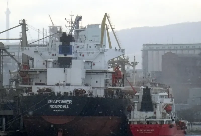 SEAPOWER Bulk Carrier IMO 9214331