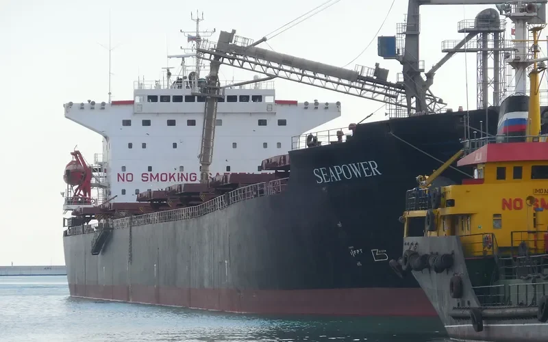 SEAPOWER Bulk Carrier IMO 9214331 photo 2