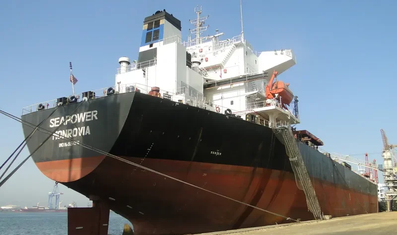 SEAPOWER Bulk Carrier IMO 9214331 photo 3