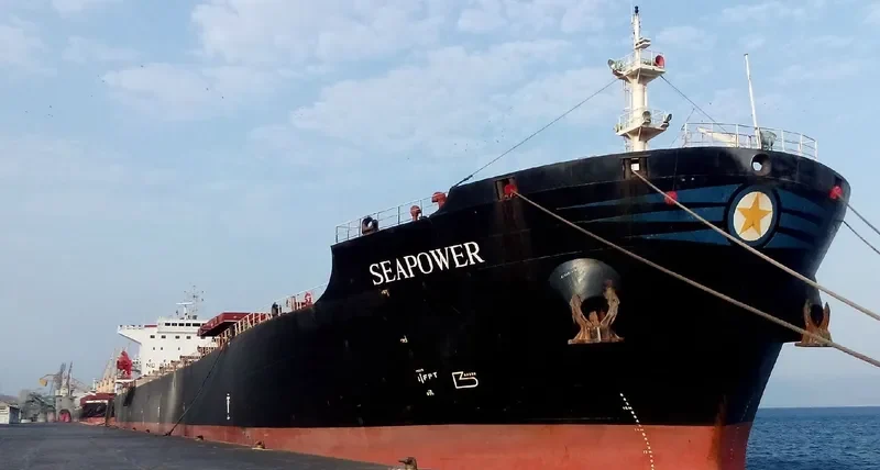 SEAPOWER Bulk Carrier IMO 9214331 photo 5