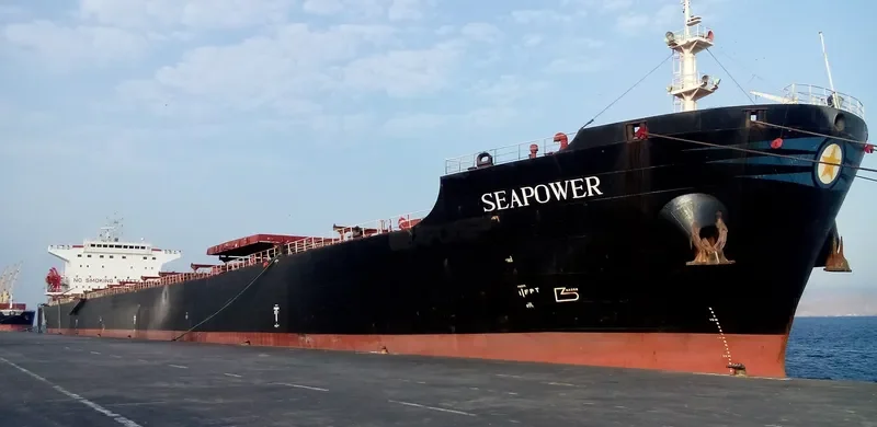 SEAPOWER Bulk Carrier IMO 9214331 photo 6