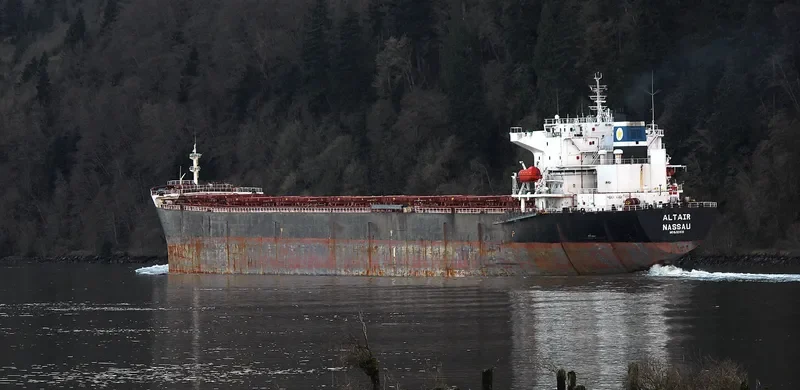 SEAPOWER Bulk Carrier IMO 9214331 photo 10