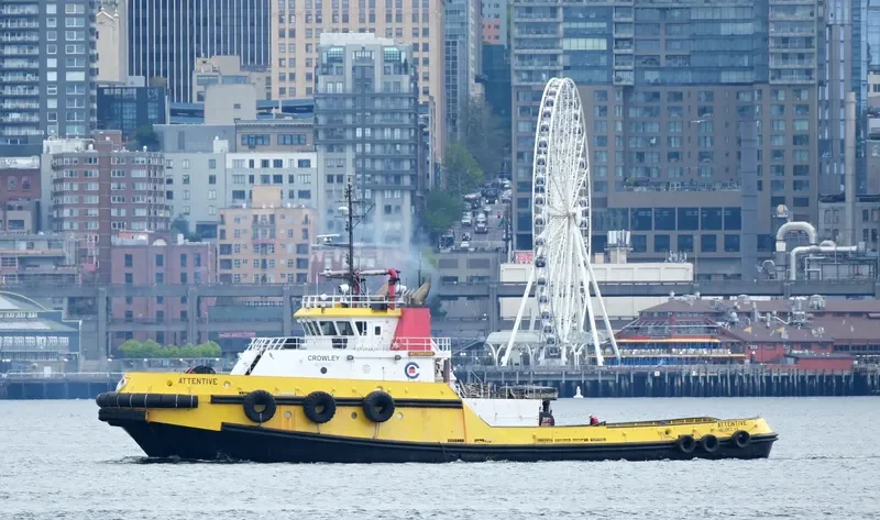 SIGNET STRENGTH General Cargo IMO 9214393 photo 8