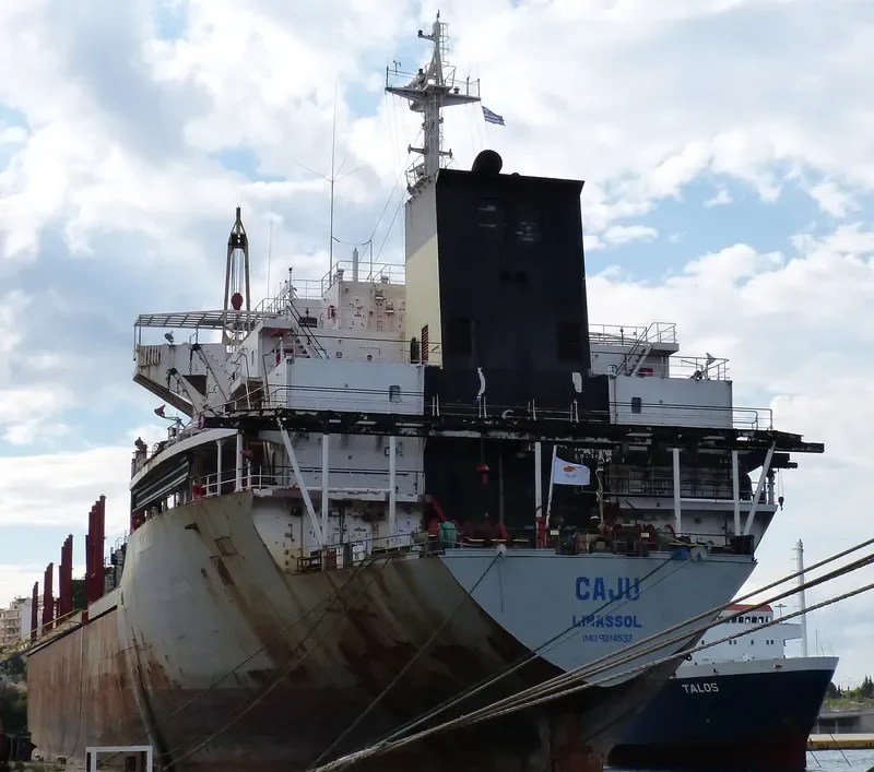 HOLLY PIONEER Bulk Carrier IMO 9214537 photo 3