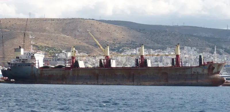 HOLLY PIONEER Bulk Carrier IMO 9214537 photo 4