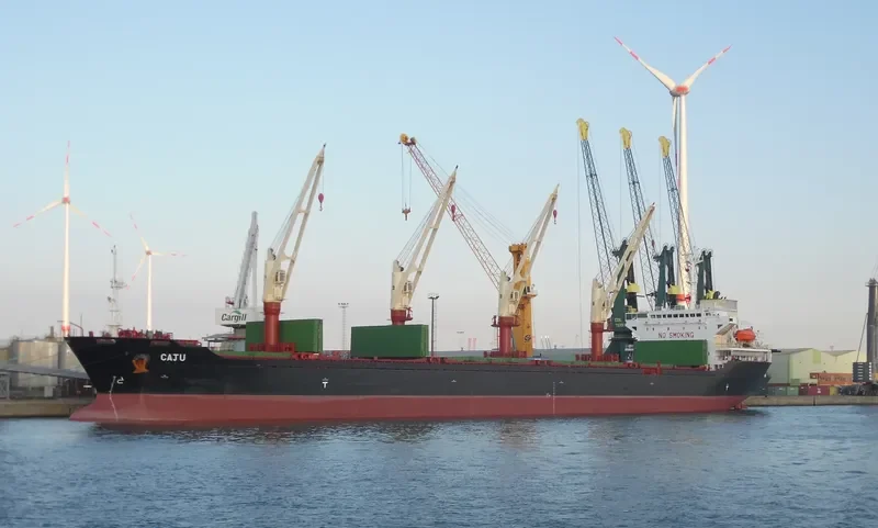 HOLLY PIONEER Bulk Carrier IMO 9214537 photo 6